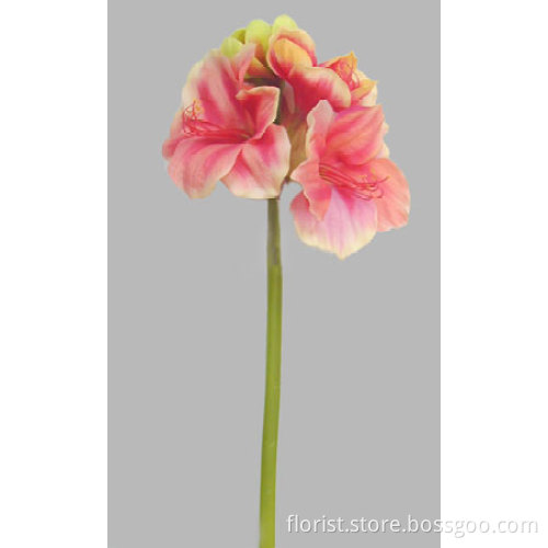 Lg.Amaryllis (Natural Touch)